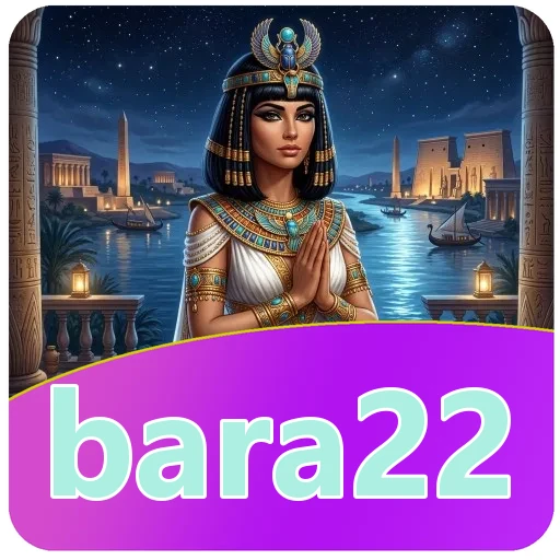 Troubleshooting bara22